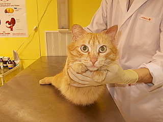 click for enlarge 640 X 480 142.4 Kb picture