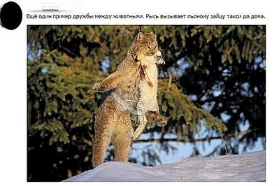 click for enlarge 549 X 366 47.5 Kb picture