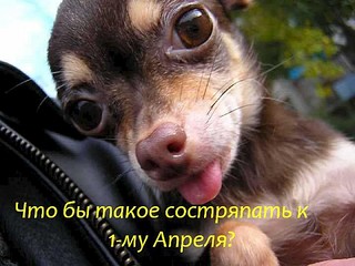click for enlarge 600 X 450 63.4 Kb picture