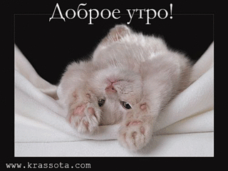 click for enlarge 500 X 375 102.4 Kb picture