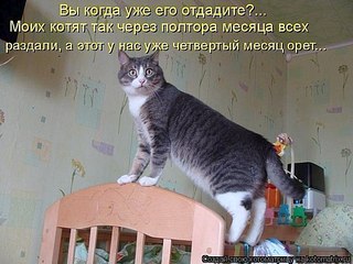 click for enlarge 604 X 453 60.0 Kb picture