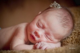click for enlarge 500 X 334  24.1 Kb picture
