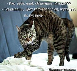 click for enlarge 590 X 540 59.0 Kb picture