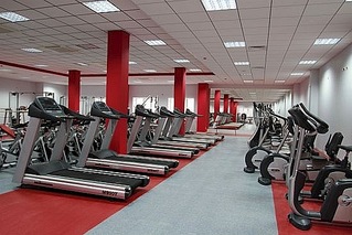 click for enlarge 550 X 367 64.9 Kb picture