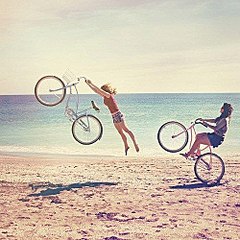 click for enlarge 500 X 500 70.0 Kb picture