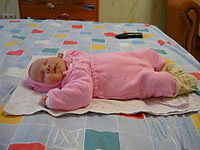 click for enlarge 1920 X 1440 548.6 Kb picture