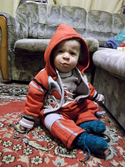 click for enlarge 1920 X 2560 477.6 Kb picture