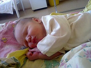click for enlarge 1600 X 1200 317.4 Kb picture