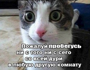 click for enlarge 439 X 340  40.4 Kb picture