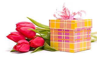 click for enlarge 800 X 476 136.1 Kb picture