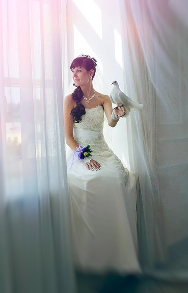 click for enlarge 658 X 1024 209.0 Kb picture