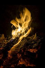 click for enlarge 532 X 800 72.1 Kb picture