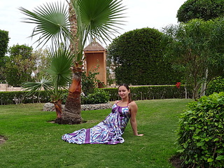 click for enlarge 504 X 378 112.0 Kb picture