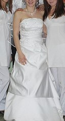 click for enlarge 333 X 624 32.4 Kb picture