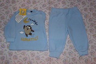 click for enlarge 1920 X 1280 516.4 Kb picture