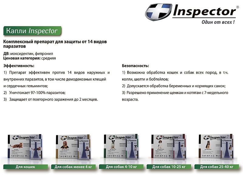 click for enlarge 1920 X 1440 401.4 Kb picture