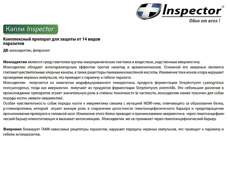 click for enlarge 1920 X 1440 502.9 Kb picture