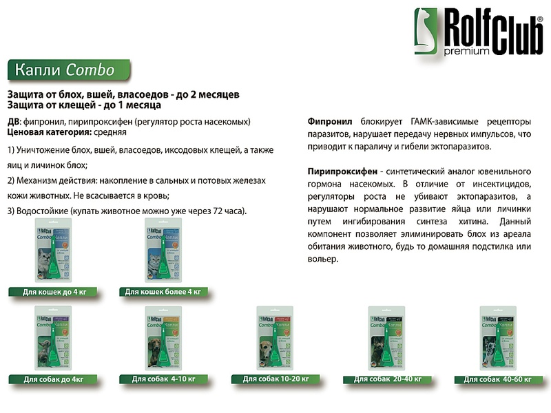 click for enlarge 1920 X 1440 452.4 Kb picture