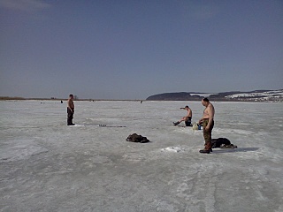 click for enlarge 1280 X 960 271.2 Kb picture