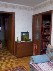 click for enlarge 1200 X 1600 512.2 Kb picture