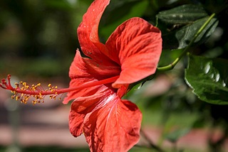 click for enlarge 807 X 540 88.2 Kb picture