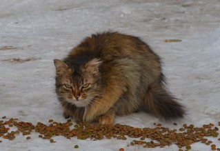 click for enlarge 1280 X 879 143.0 Kb picture