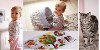 click for enlarge 1920 X 974 478.6 Kb picture