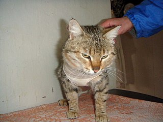 click for enlarge 1280 X 960 223.5 Kb picture