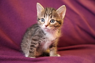 click for enlarge 1920 X 1280 396.0 Kb picture