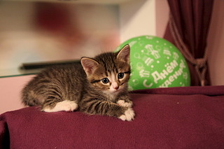 click for enlarge 1920 X 1280 453.7 Kb picture