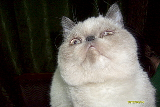 click for enlarge 1920 X 1280 179.2 Kb picture