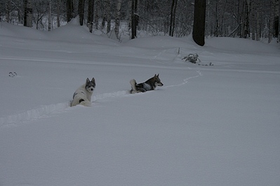 click for enlarge 640 X 427  79.4 Kb picture