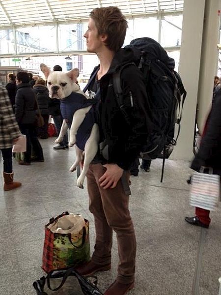 click for enlarge 480 X 640  46.9 Kb picture