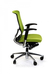 click for enlarge 600 X 900 77.6 Kb picture