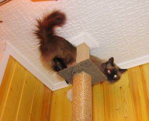 click for enlarge 800 X 650 277.0 Kb picture