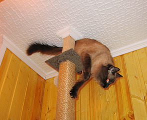 click for enlarge 800 X 650 291.8 Kb picture