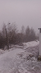 click for enlarge 577 X 1024 198.6 Kb picture