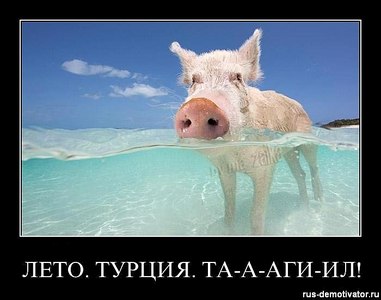 click for enlarge 700 X 551  43.7 Kb picture