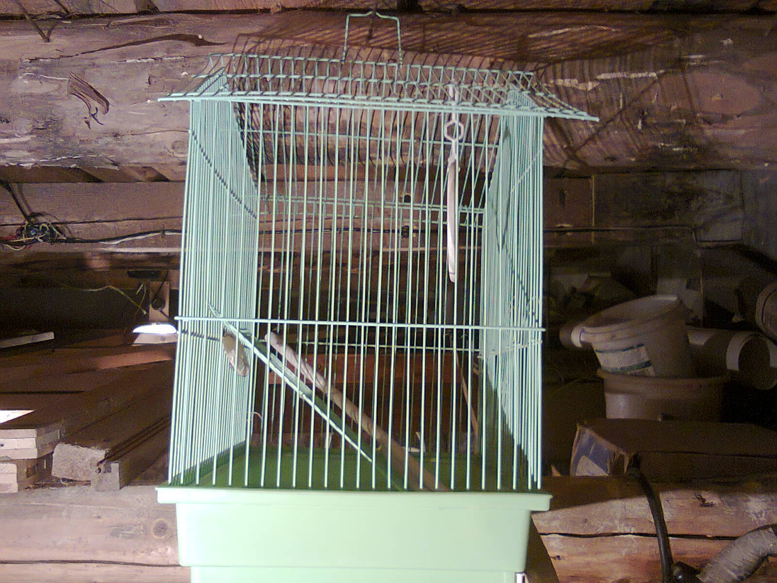Скреплять клетку. Как установить сетку на клетку попугая. Дверца из сетки для клетки. Сетка для собак. Скреплять клетку.