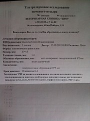 click for enlarge 768 X 1024 148.0 Kb picture