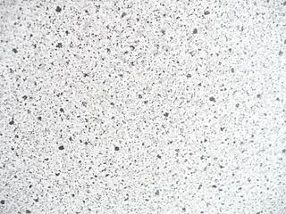 click for enlarge 1536 X 1152 284.6 Kb picture