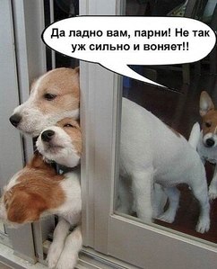 click for enlarge 460 X 568  49.7 Kb picture