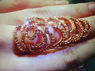 click for enlarge 1280 X 960 233.2 Kb picture