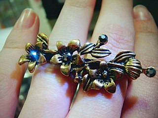 click for enlarge 1280 X 960 197.3 Kb picture