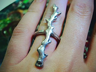 click for enlarge 1280 X 960 172.6 Kb picture