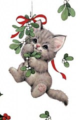click for enlarge 320 X 480 30.2 Kb picture