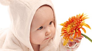 click for enlarge 800 X 450 66.9 Kb picture