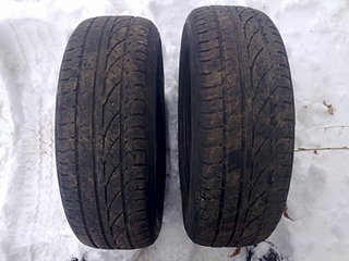 click for enlarge 1920 X 1440 286.2 Kb picture