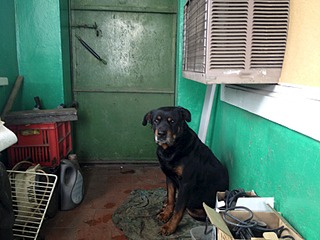 click for enlarge 1632 X 1224 577.0 Kb picture