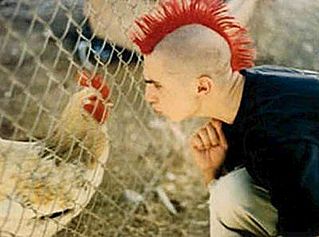 click for enlarge 400 X 297 23.0 Kb picture